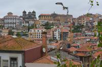 Porto (7) &ndash; &copy; Franziska Barthel (Eberhardt TRAVEL)
