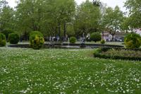 Jardim do Passeio Allegre (1) &ndash; &copy; Franziska Barthel (Eberhardt TRAVEL)