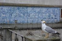 Sé Porto (22) &ndash; &copy; Franziska Barthel (Eberhardt TRAVEL)
