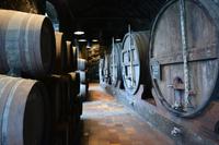 Portweinkellerei (6) &ndash; &copy; Franziska Barthel (Eberhardt TRAVEL)