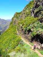 Madeira - Wanderung Pico do Arieiro - Pico Ruivo - Achada do Teixeira  &ndash; &copy; Martina Häselbarth (Eberhardt TRAVEL)