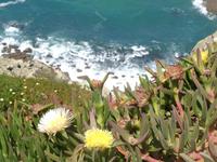 Cabo da Roca &ndash; &copy; Barbara Mihut (Eberhardt TRAVEL)