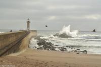 Porto & Lissabon (113) &ndash; &copy; Martin Büchner (Eberhardt TRAVEL)