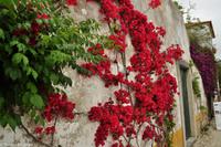 Porto & Lissabon (140) &ndash; &copy; Martin Büchner (Eberhardt TRAVEL)