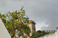 Porto & Lissabon (146) &ndash; &copy; Martin Büchner (Eberhardt TRAVEL)