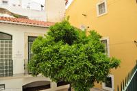 Porto & Lissabon (167) &ndash; &copy; Martin Büchner (Eberhardt TRAVEL)