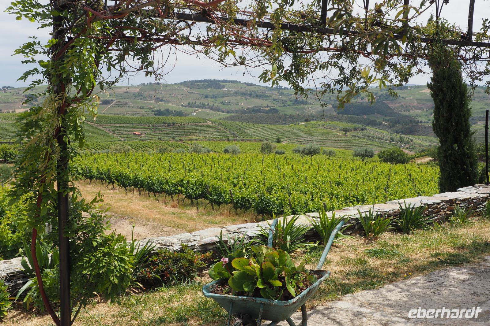 P6040191, Quinta de Avessada &ndash; &copy; Claudia Hartwich (Eberhardt TRAVEL)