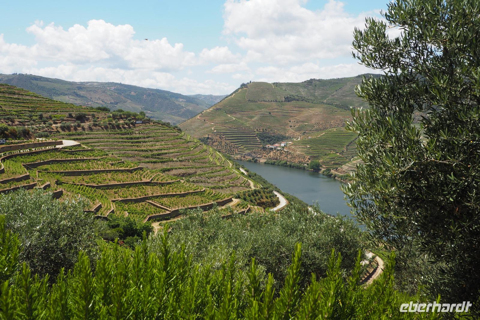 P6070334, Douro-Tal &ndash; &copy; Claudia Hartwich (Eberhardt TRAVEL)