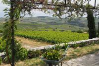 P6040191, Quinta de Avessada &ndash; &copy; Claudia Hartwich (Eberhardt TRAVEL)