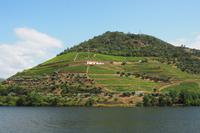 P6040222, Douro-Tal
