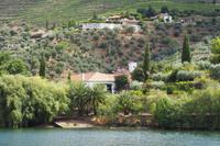 P6070327, Douro-Tal &ndash; &copy; Claudia Hartwich (Eberhardt TRAVEL)