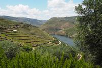P6070334, Douro-Tal