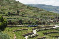 P6070336, Sandeman in der Quinta do Seixo &ndash; &copy; Claudia Hartwich (Eberhardt TRAVEL)