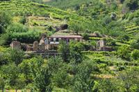 P6080387, Douro-Tal &ndash; &copy; Claudia Hartwich (Eberhardt TRAVEL)