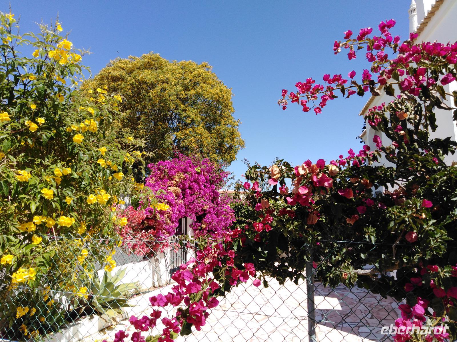 12.06.2019, Hauseingang in Armacao de Pera, Algarve &ndash; &copy; Jutta Petzold-Herrmann (Eberhardt TRAVEL)
