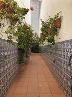 Silves &ndash; &copy; Olivia Wolk (Eberhardt TRAVEL)