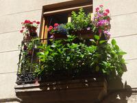 Salamanca - Fensterschmuck &ndash; &copy; Hans-Joachim Trutz (Eberhardt TRAVEL)