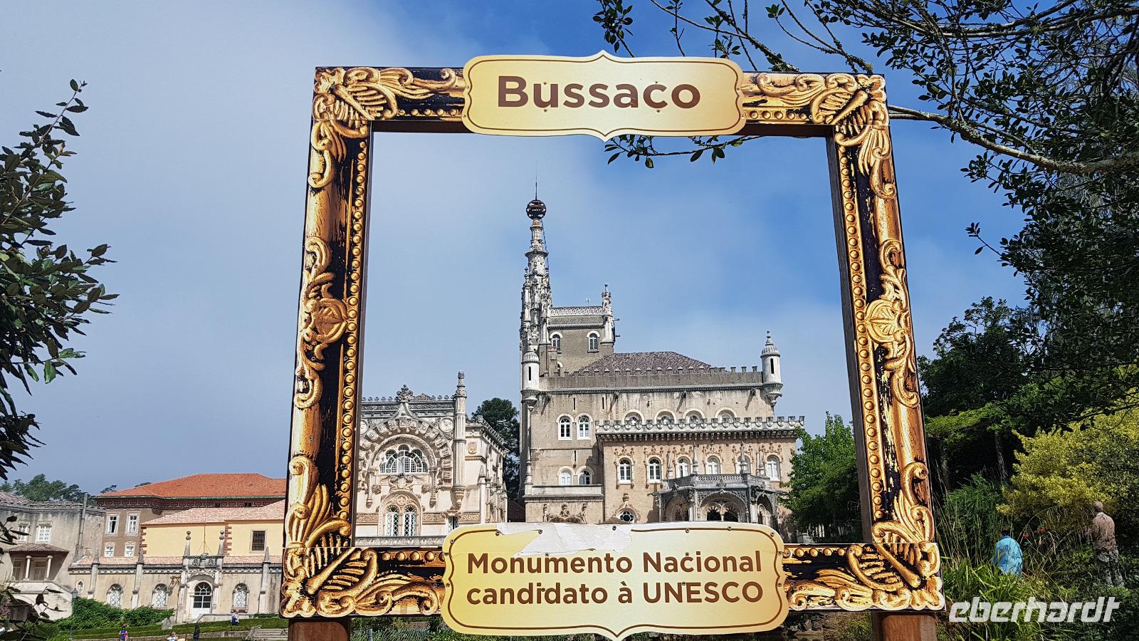 Bucaco &ndash; &copy; Marlies Thrum (Eberhardt TRAVEL)