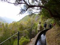 Wanderung Rabacal &ndash; &copy; Peter Patzelt (Eberhardt TRAVEL)