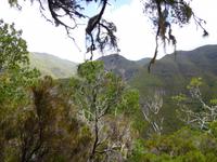 Wanderung Rabacal  &ndash; &copy; Peter Patzelt (Eberhardt TRAVEL)