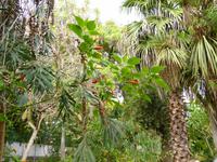  Kräutergarten &ndash; &copy; Peter Patzelt (Eberhardt TRAVEL)