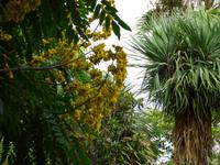  Kräutergarten &ndash; &copy; Peter Patzelt (Eberhardt TRAVEL)