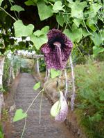  botanischer Garten &ndash; &copy; Peter Patzelt (Eberhardt TRAVEL)