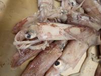   Funchal Fischhalle &ndash; &copy; Peter Patzelt (Eberhardt TRAVEL)