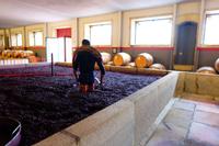 Quinta da Pacheca &ndash; &copy; Olivia Wolk (Eberhardt TRAVEL)