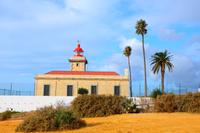 Ponta da Piedade  &ndash; &copy; Olivia Wolk (Eberhardt TRAVEL)