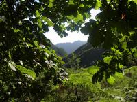 Ribeiro Frio &ndash; &copy; Claudia Kleber (Eberhardt TRAVEL)