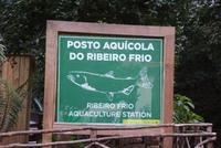 Forellenzucht Ribeiro frio (5) &ndash; &copy; Susanne Schirmann (Eberhardt TRAVEL)