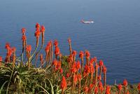 Im Landeanflug &ndash; &copy; Susanne Schirmann (Eberhardt TRAVEL)