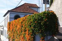 Funchal (4) &ndash; &copy; Susanne Schirmann (Eberhardt TRAVEL)