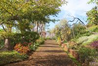 Botanischer Garten (5) &ndash; &copy; Susanne Schirmann (Eberhardt TRAVEL)