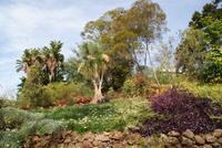 Botanischer Garten (6) &ndash; &copy; Susanne Schirmann (Eberhardt TRAVEL)