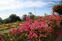 Botanischer Garten (10) &ndash; &copy; Susanne Schirmann (Eberhardt TRAVEL)