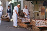 Korbschlittenfahrer (2) &ndash; &copy; Susanne Schirmann (Eberhardt TRAVEL)