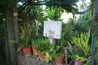 Orchideengarten (2) &ndash; &copy; Susanne Schirmann (Eberhardt TRAVEL)