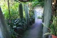 Orchideengarten (3) &ndash; &copy; Susanne Schirmann (Eberhardt TRAVEL)