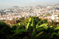 Funchal (6) &ndash; &copy; Susanne Schirmann (Eberhardt TRAVEL)