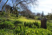Palheiro Garden (2) &ndash; &copy; Susanne Schirmann (Eberhardt TRAVEL)