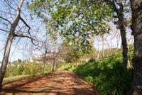 Palheiro Garden (3) &ndash; &copy; Susanne Schirmann (Eberhardt TRAVEL)