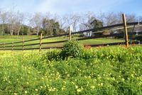 Palheiro Garden (4) &ndash; &copy; Susanne Schirmann (Eberhardt TRAVEL)