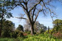 Palheiro Garden (8) &ndash; &copy; Susanne Schirmann (Eberhardt TRAVEL)