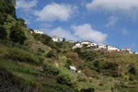 Levada Wanderung am Neujahrstag (4) &ndash; &copy; Susanne Schirmann (Eberhardt TRAVEL)