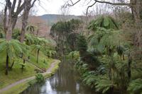 Sao Miguel - Furnas - Terra Nostra Park (3) &ndash; &copy; Franziska Barthel (Eberhardt TRAVEL)