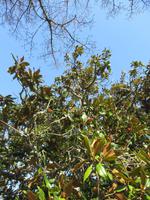 059_Mateus_Garten &ndash; &copy; Karolin Kühn (Eberhardt TRAVEL)