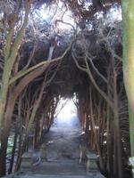 060_Mateus_Garten &ndash; &copy; Karolin Kühn (Eberhardt TRAVEL)