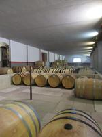 063_Weingut Quinta da Pacheca &ndash; &copy; Karolin Kühn (Eberhardt TRAVEL)